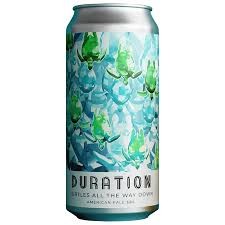 Duration Turtles All The Way Down 5,5% 44cl