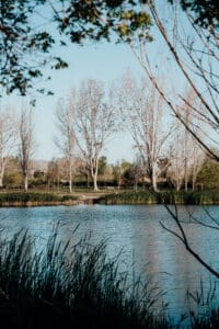 que hacer en Gandia